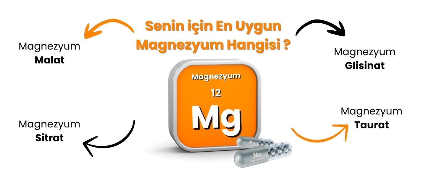 Senin için En Uygun Magnezyum Formu Hangisi?
