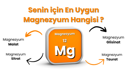 Senin için En Uygun Magnezyum Formu Hangisi?