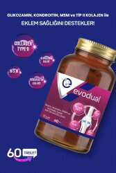 EVODUAL (Glikozamin, Kondroitin, MSM ve T İP II Kollajen İçeren Tablet Takviye Edici Gıda) - 2