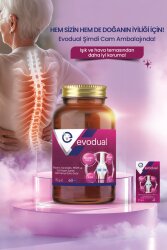 EVODUAL (Glikozamin, Kondroitin, MSM ve T İP II Kollajen İçeren Tablet Takviye Edici Gıda) - 7