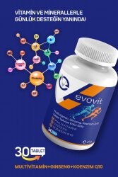 Evovit Multivitamin Ginseng Koenzim Q10 Takviye Edici Gıda 30 Tablet - 2